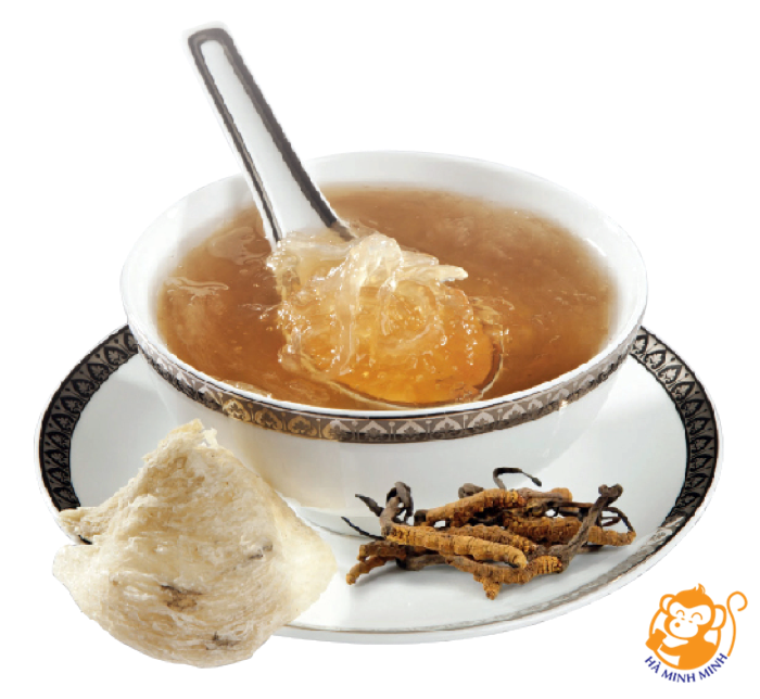 yến sào yến sào