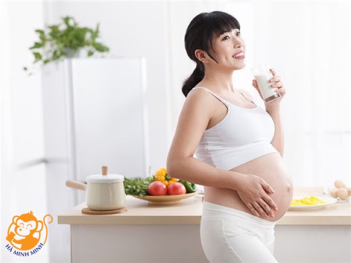 yến sào yến sào