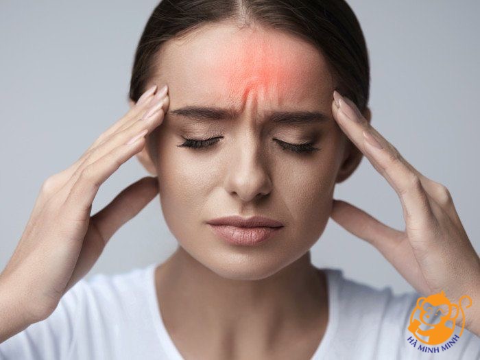 Yến sào Yến sào