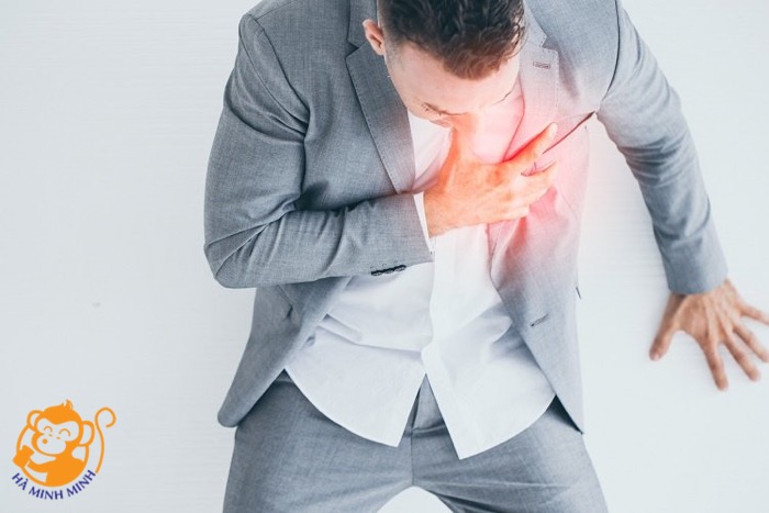 Yến sào Yến sào