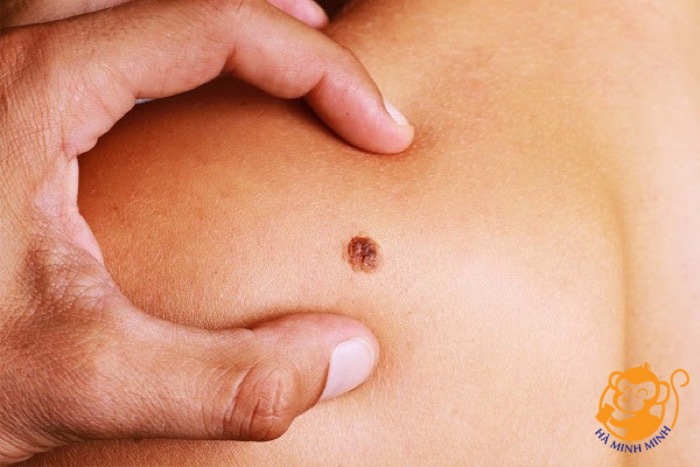 yến sào yến sào