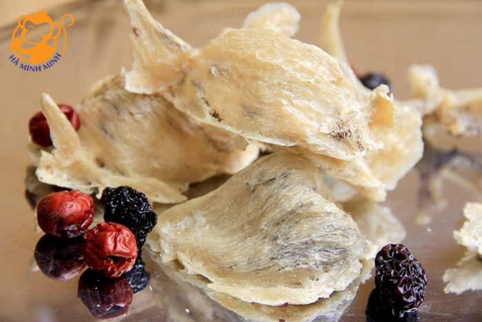 yến sào yến sào