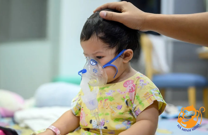 Yến sào Yến sào