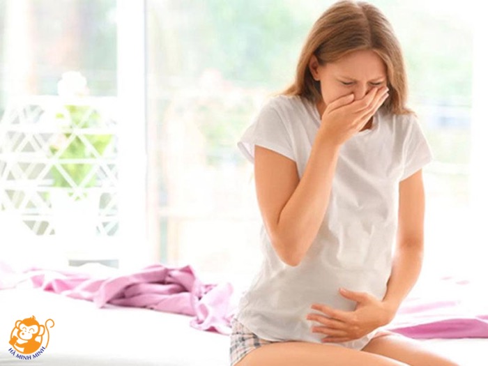 Yến sào Yến sào