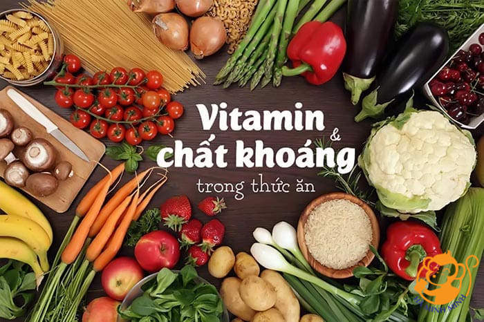 Yến sào Yến sào