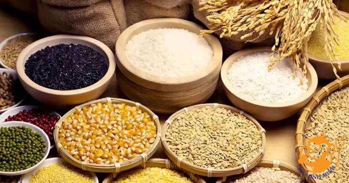 Yến sào Yến sào