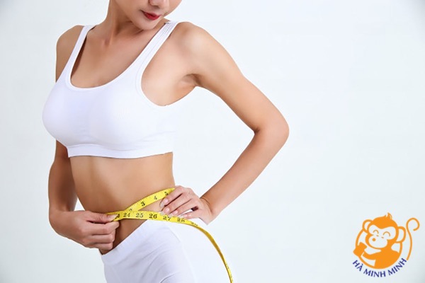 yến sào yến sào