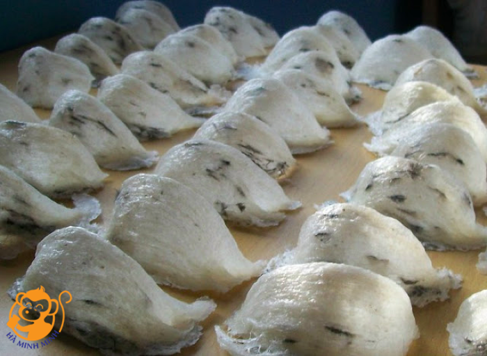 giá yến sào cho trẻ em giá yến sào cho trẻ em