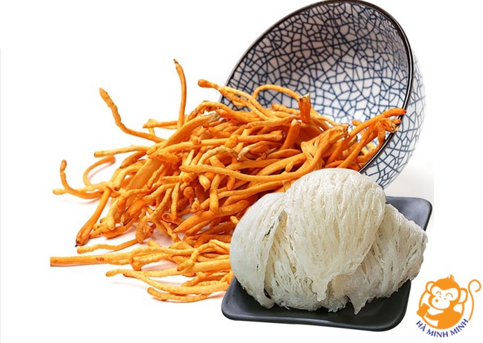 Yến sào Yến sào