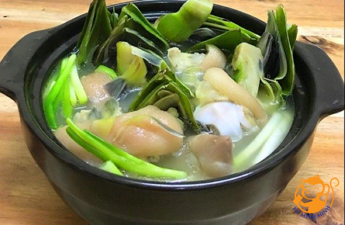 yến sào yến sào