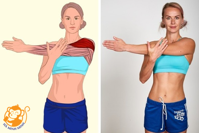 Yến sào Yến sào