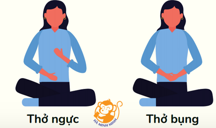 Yến sào Yến sào