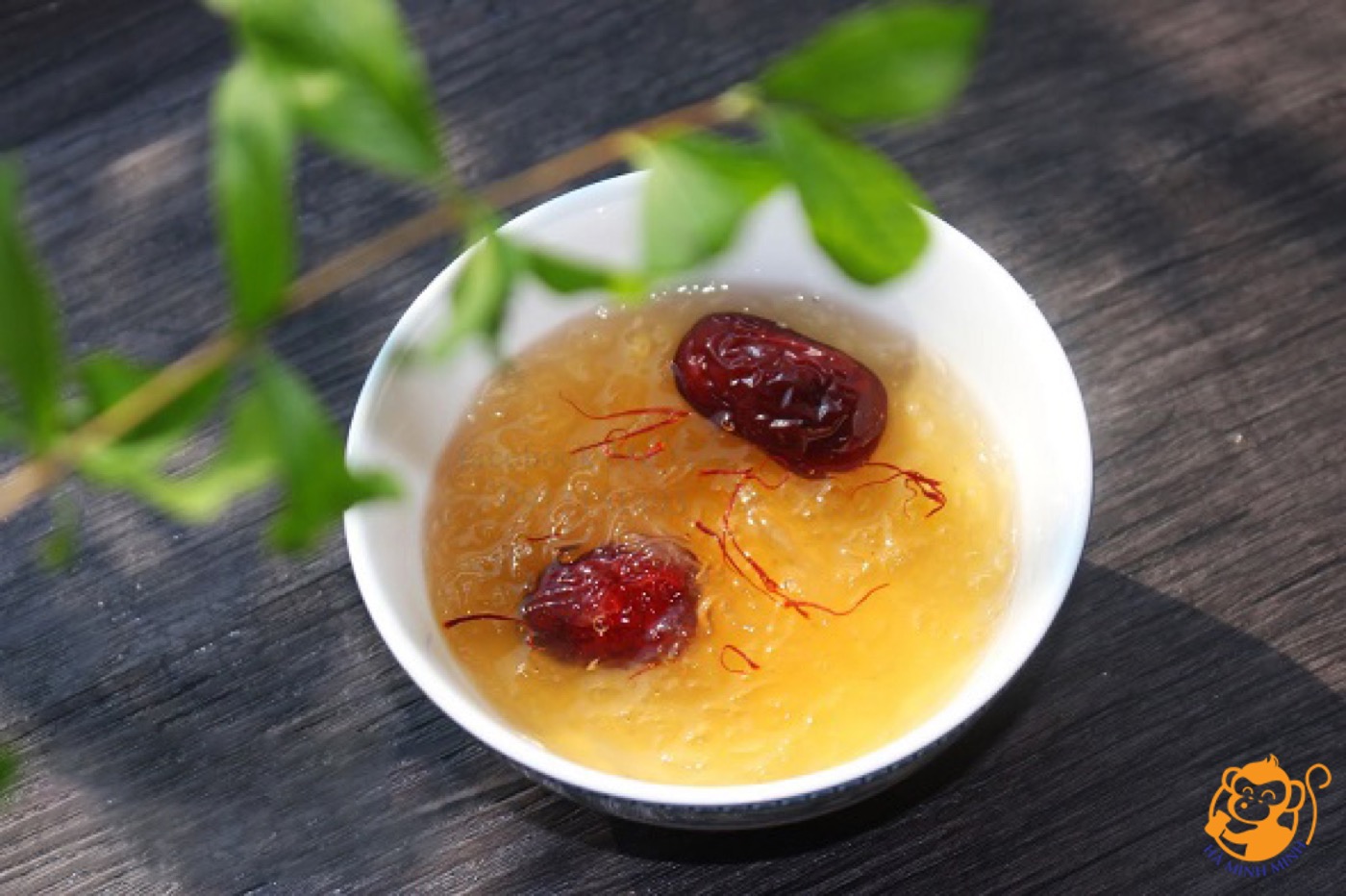 Yến sào Yến sào