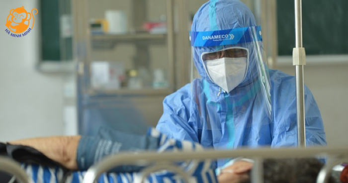 yến sào yến sào