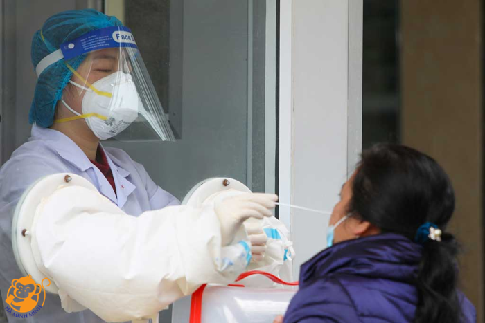 yến sào yến sào