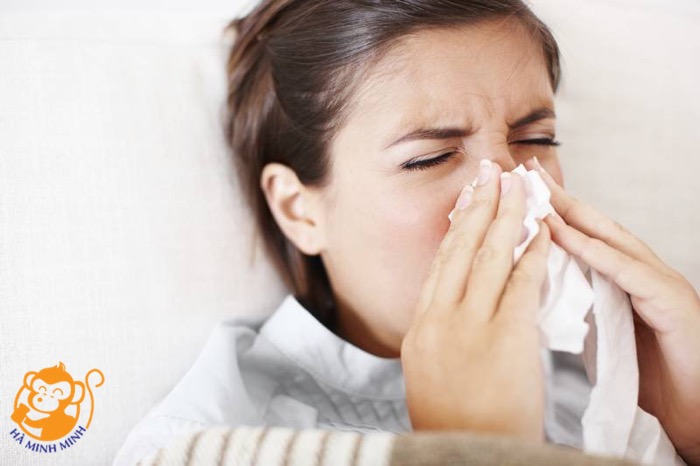 Ăn yến sào Ăn yến sào