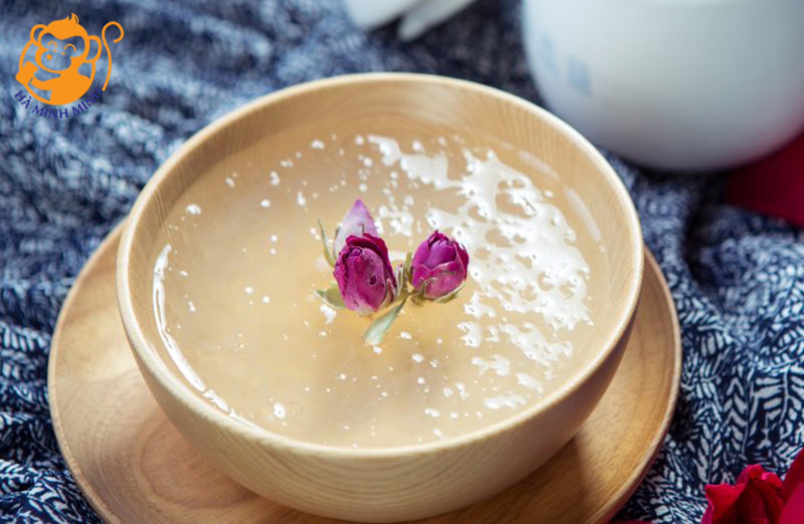 yến sào yến sào