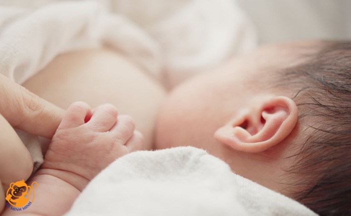 Ăn yến có tốt cho mẹ cho con bú Ăn yến có tốt cho mẹ cho con bú