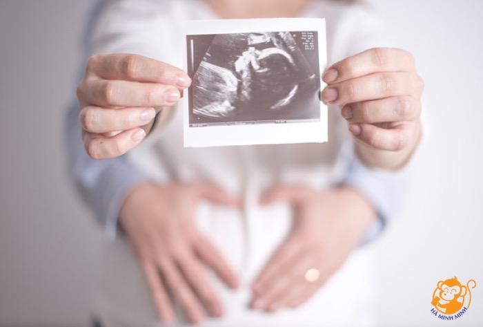 Bà bầu nên ăn yến từ tháng mấy thai kỳ Bà bầu nên ăn yến từ tháng mấy thai kỳ