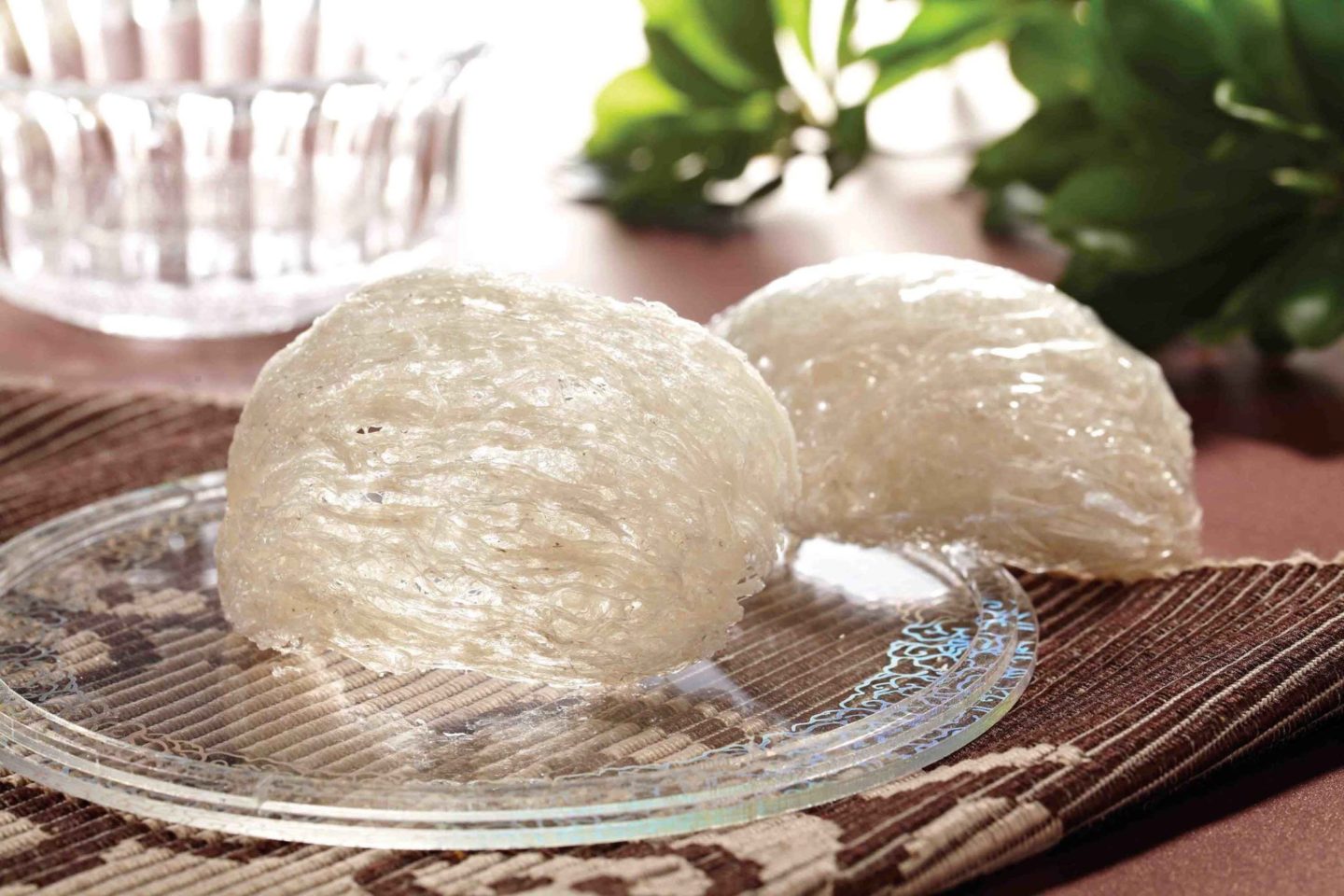 Bí quyết lựa chọn yến sào Nha Trang Khánh Hòa chất lượng Bí quyết lựa chọn yến sào Nha Trang Khánh Hòa chất lượng