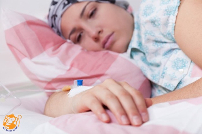 Cách chưng yến cho bệnh nhân ung thư Cách chưng yến cho bệnh nhân ung thư