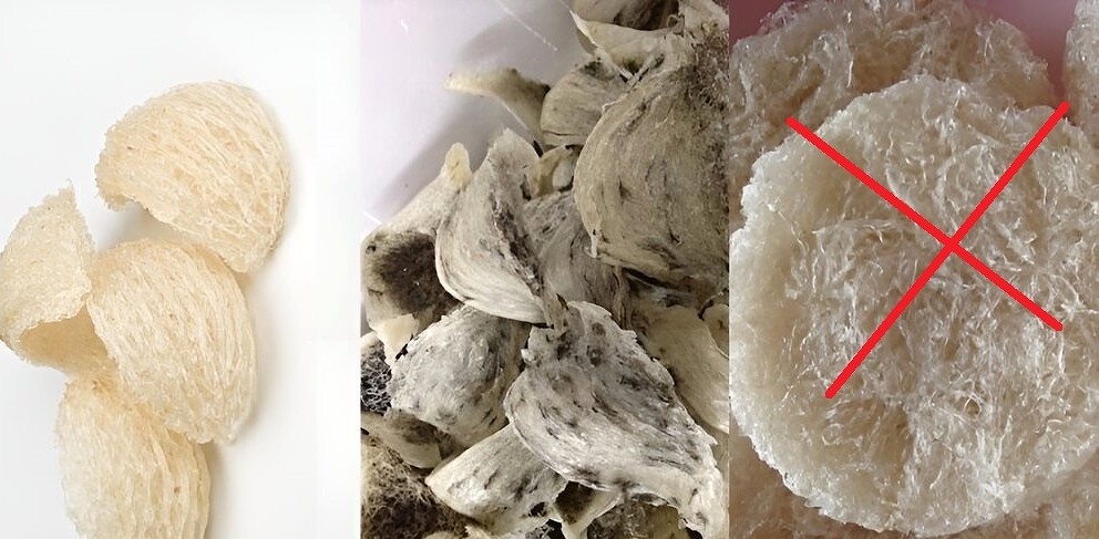 Cách phân biệt tổ yến thật và yến giả đơn giản tại nhà – Ai cũng nên biết Cách phân biệt tổ yến thật và yến giả đơn giản tại nhà – Ai cũng nên biết