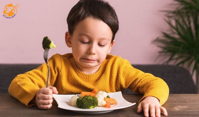 Cách sử dụng yến sào cho trẻ em Cách sử dụng yến sào cho trẻ em