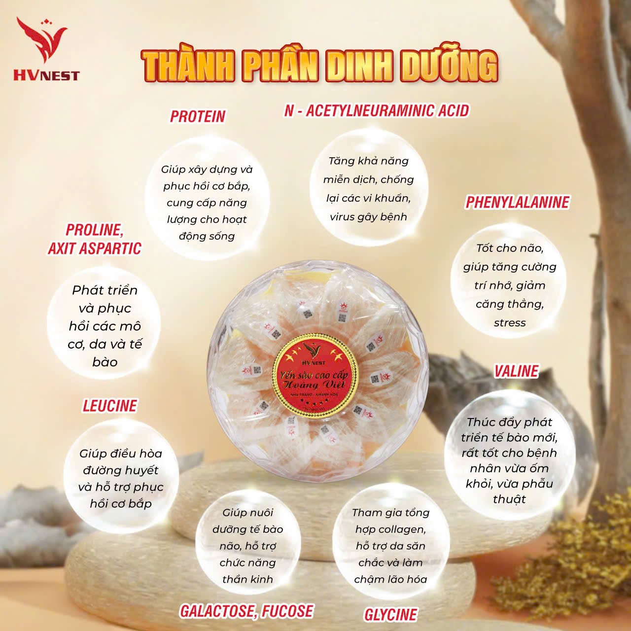 dinh dưỡng trong yến sào dinh dưỡng trong yến sào