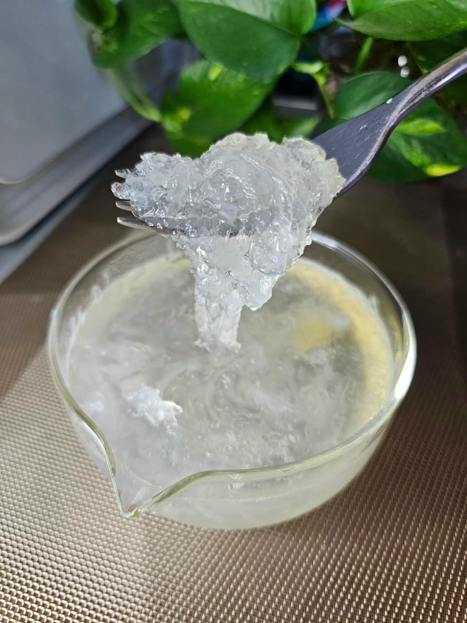 Yến sào Yến sào