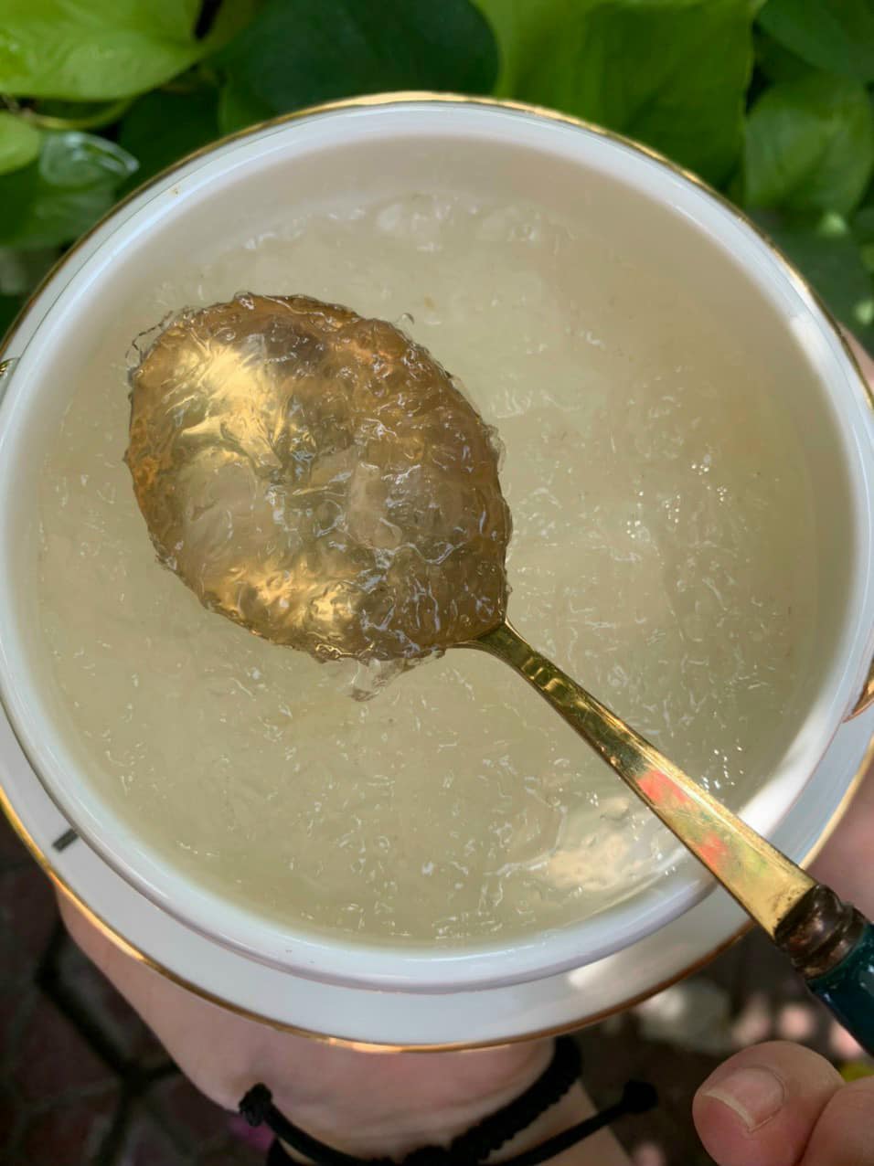 Yến chưng bổ phổi Yến chưng bổ phổi