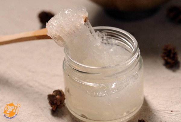 Yến sào Yến sào