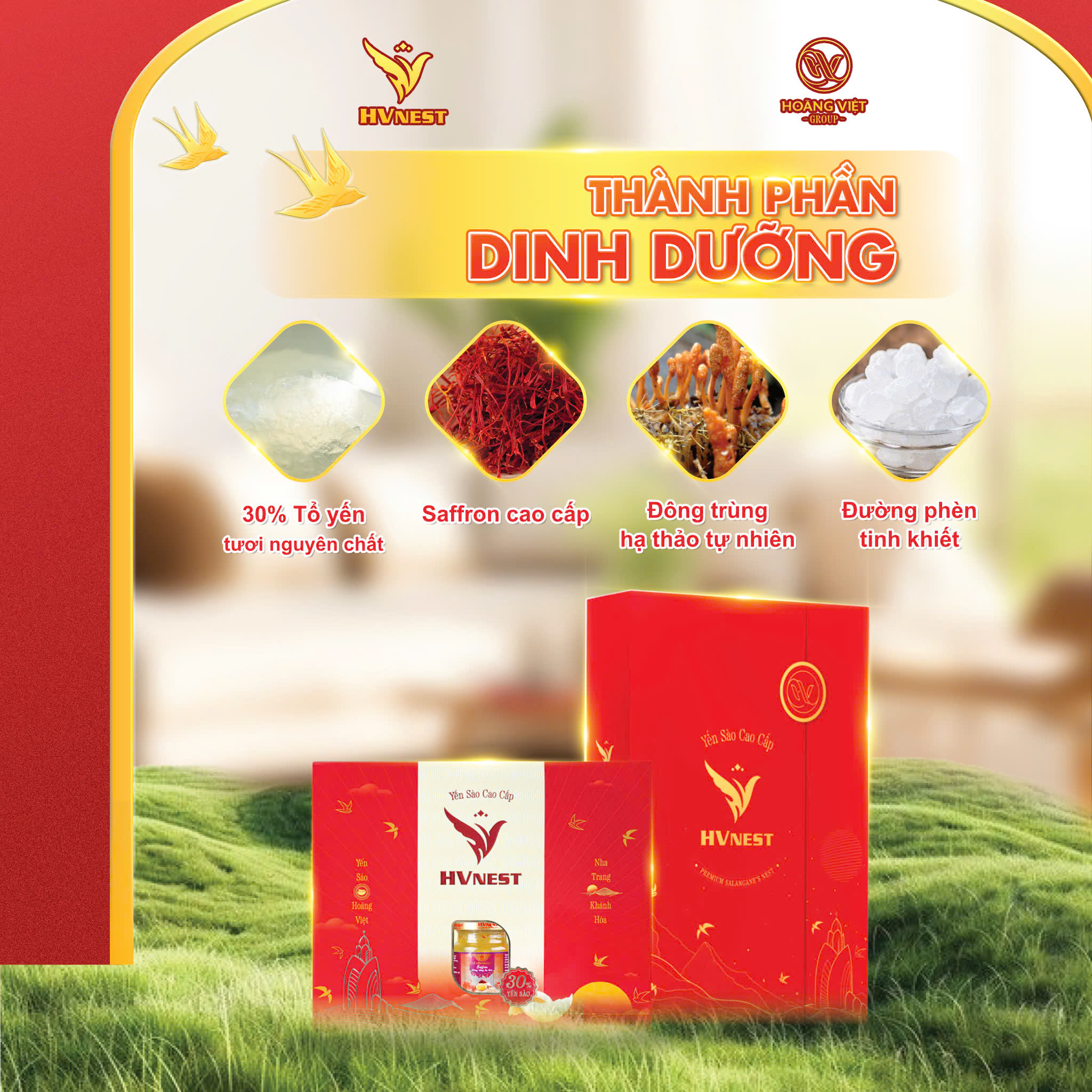 mua quà thăm bệnh mua quà thăm bệnh