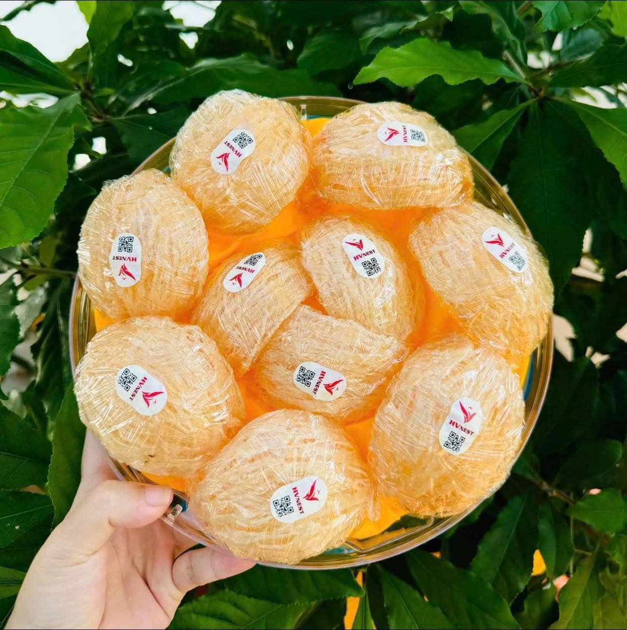 Mua tổ yến nguyên chất – Tặng sức khỏe, gửi trọn tâm ý Mua tổ yến nguyên chất – Tặng sức khỏe, gửi trọn tâm ý