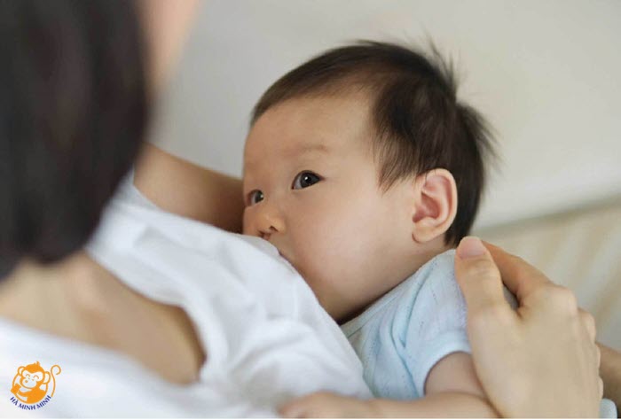 ngũ cốc giảm cân lợi sữa ngũ cốc giảm cân lợi sữa