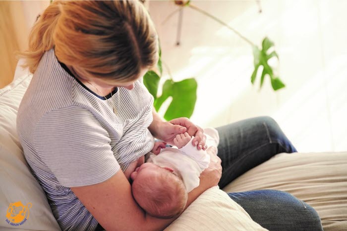 ngũ cốc lợi sữa cho mẹ sau sinh ngũ cốc lợi sữa cho mẹ sau sinh