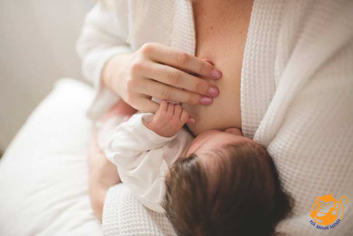 Ngũ cốc lợi sữa Ngũ cốc lợi sữa