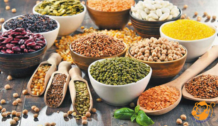 Ngũ cốc Ngũ cốc