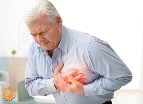 người bị suy tim có dùng yến sào được không người bị suy tim có dùng yến sào được không