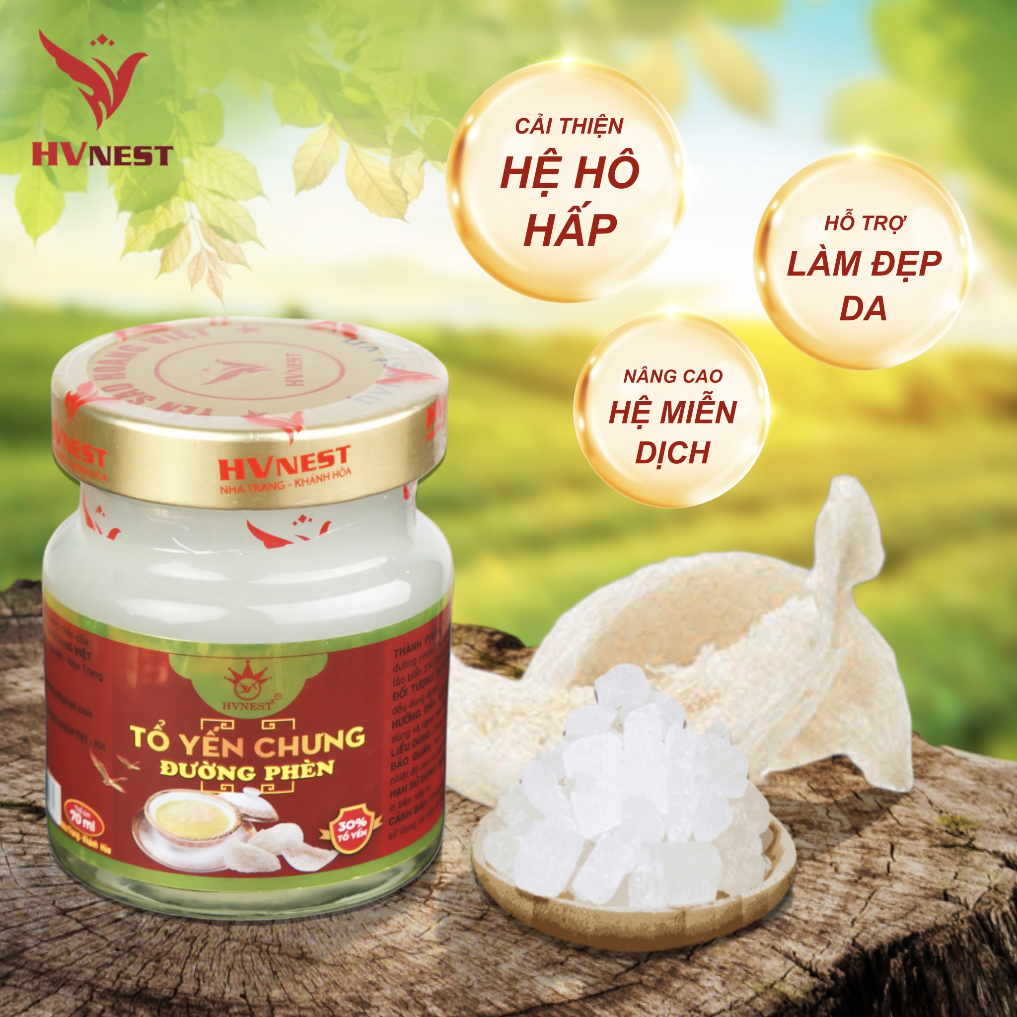 Uống nước yến nguyên chất mỗi ngày bồi bổ cơ thể, tăng đề kháng Uống nước yến nguyên chất mỗi ngày bồi bổ cơ thể, tăng đề kháng