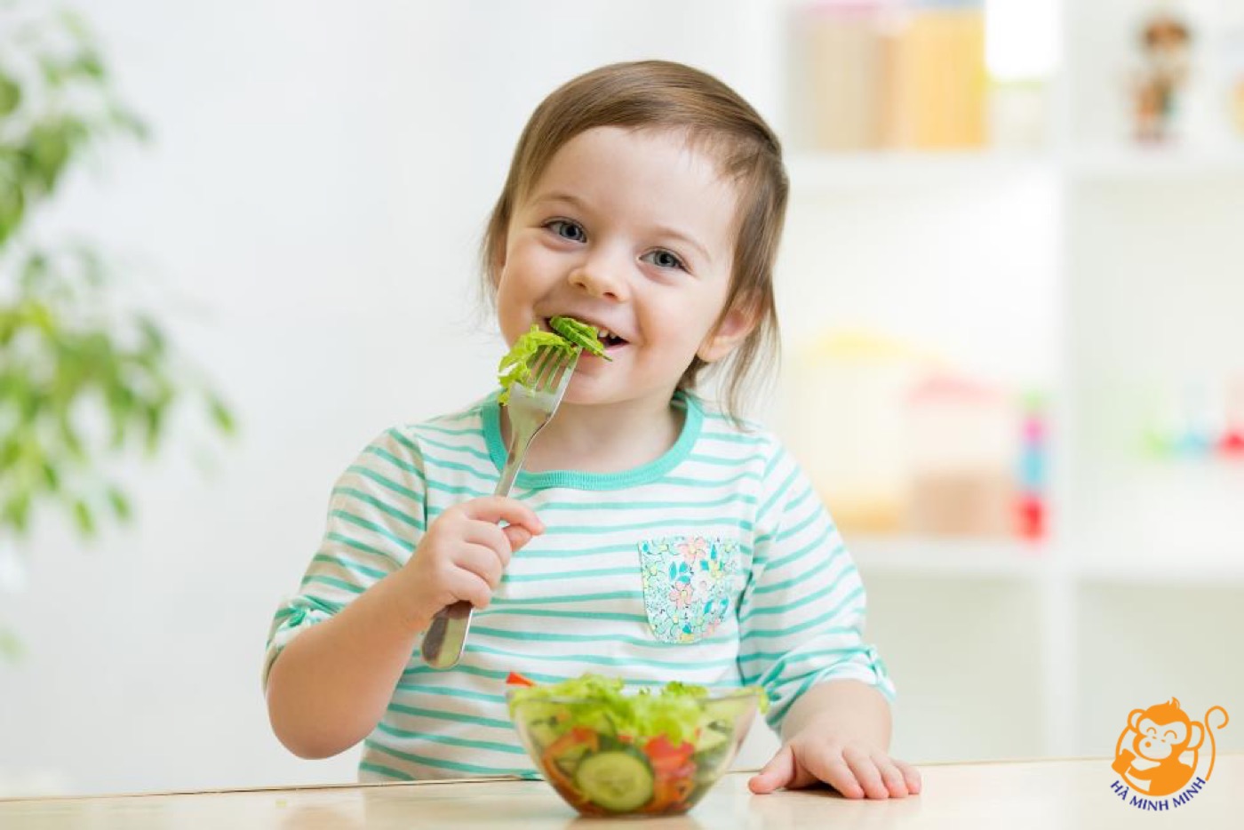 Nước yến trái cây Hvnest Nước yến trái cây Hvnest