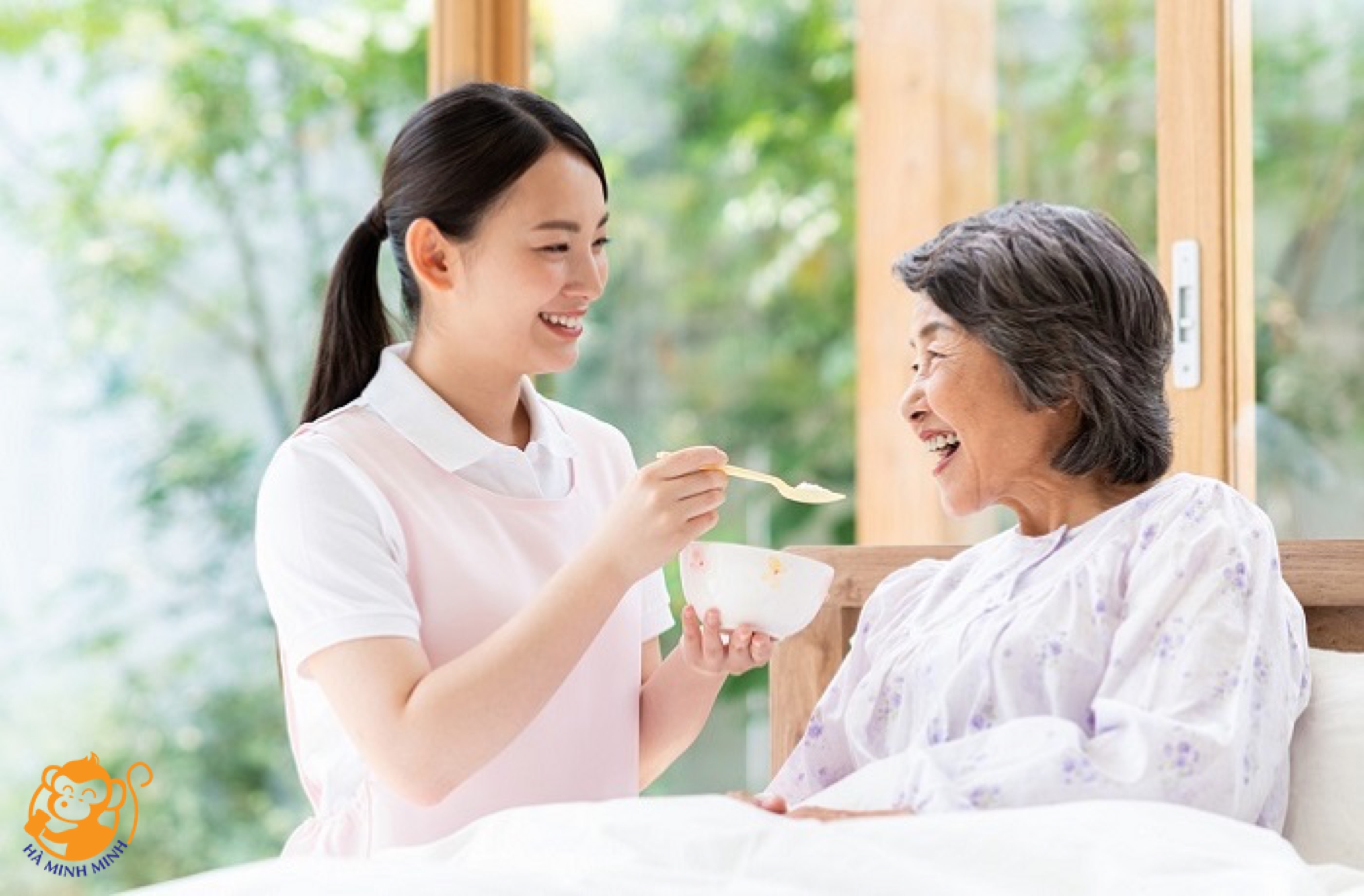 nước yến trái cây nước yến trái cây