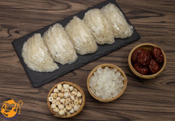 Tổ yến có tốt cho người bị ung thư Tổ yến có tốt cho người bị ung thư