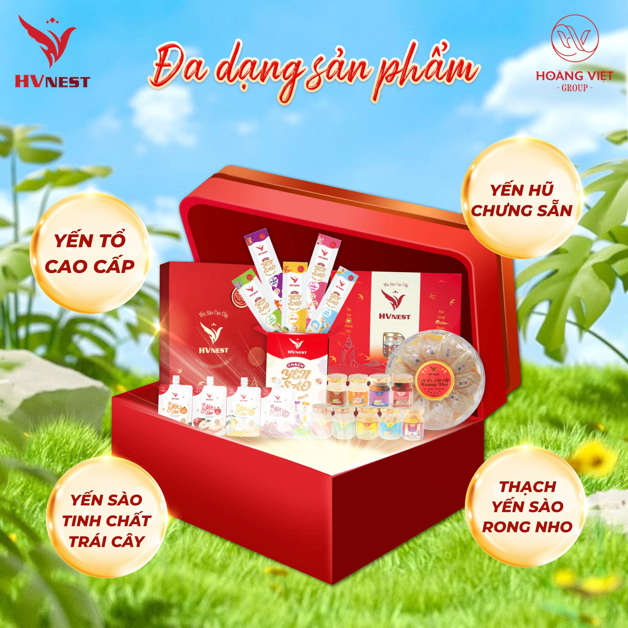 quà tặng sức khỏe cho người già quà tặng sức khỏe cho người già