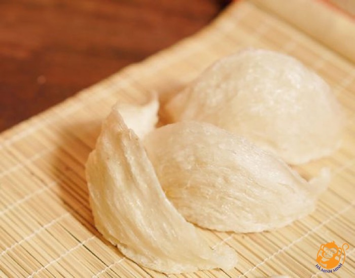 quà tết 2024 yến sào quà tết 2024 yến sào