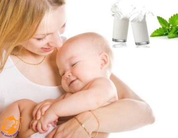 sau sinh có nên uống sữa tươi