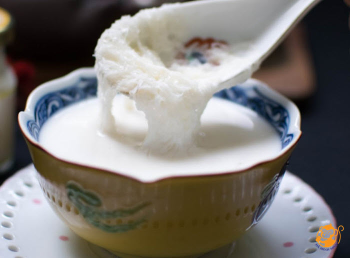 Tổ yến Tổ yến