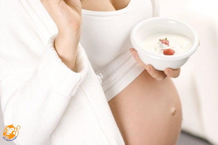 Tổ yến Tổ yến