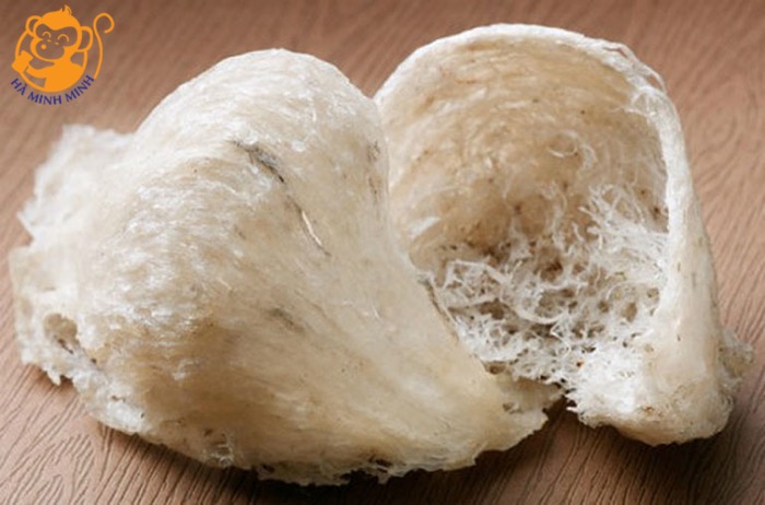 Tác dụng của yến sào dành cho trẻ em Tác dụng của yến sào dành cho trẻ em