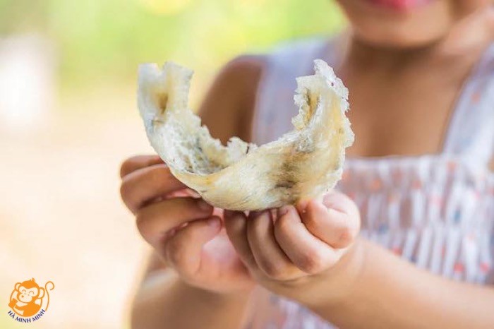 Nước yến cho bé Nước yến cho bé