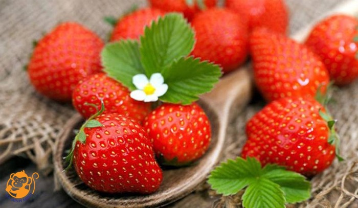 thạch yến sào rong nho dâu tây thạch yến sào rong nho dâu tây